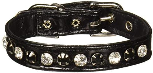Evans colares de 1/2 de colarinho com cores alternadas de jóias, tamanho 10, croc, preto