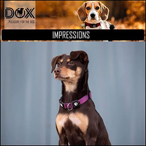 DDDOXX Nylon Dog Collar - Reflexivo e Ajustável - Para cães grandes e pequenos - colar