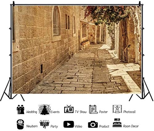 Csfoto 12x8ft jerusalém antigo cenário estreito de rua antiga Jerusalém cenário de pedra flores de primavera fundo