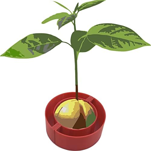 Float de abacate para cultivo de plantas de abacate Planter - 1 peça 2,5 Ø Ø
