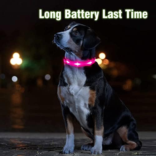 Colarinho de cachorro Ezierfy LED - colares de cães recarregáveis ​​USB - colarinho de cachorro brilhante - colarinho de cachorro iluminado ajustável - luzes de cachorro piscando para caminhada noturna