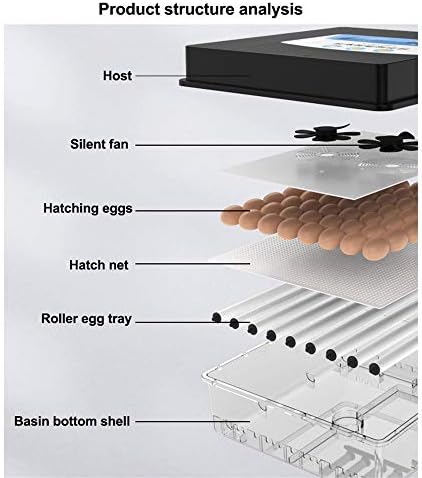 Hatcher automático digital ZJDU, incubadora de ovos com função de torneamento automático, com controle de temperatura, incubadoras digitais ou chickens patos de patos, ovos de ganso, 16 ovos