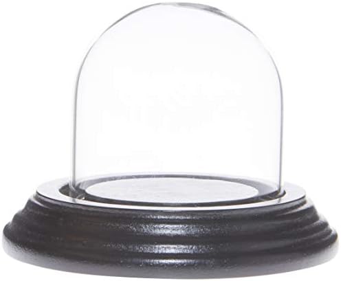 Plymor 2 x 2 Mini -vidro Dome cloche