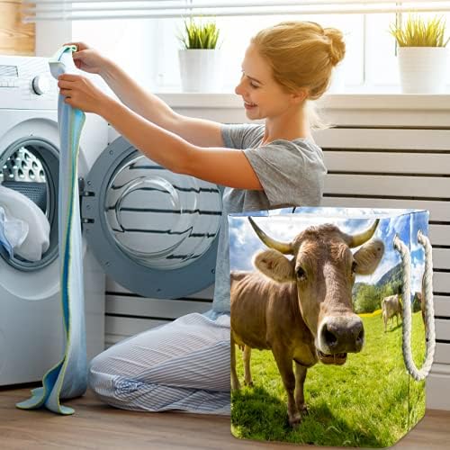 Deyya Cestas de lavanderia impermeabilizadas altas gado marrom dobrável alto em cesto de estampa de campo aberto para crianças adultas