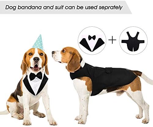 Tuxedo Dog Smoking Tuxedo Tuxedo Tuxe e Bandana Set, cães Tuxedo Festas de festas de casamento, cachorro Prince Casamento gravata borbole