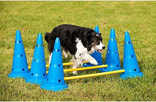 Conjunto de cone e agilidade do cão médio- conjunto de cães grandes e pequenos- conjunto de 3