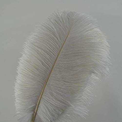 Feathers de avestruz branca loouer definida para decorações de casas de casamentos DIY Craft 12-14 polegadas, pacote de 10