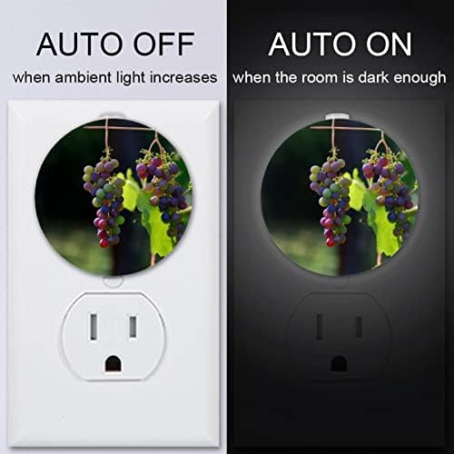2 Pacote Plug-in Nightlight LED Night Light com sensor de entardecer ao amanhecer para o quarto das crianças, viveiro, cozinha,