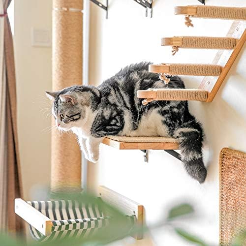 Móveis de parede de gato de Fukumaru, incluindo degrau de escalada, prateleira de parede flutuante com tapete de arranhões de gato, árvore de atividades de gatos com postes de arranhões, rede de gatos, para dormir, brincar, escalar e loucer