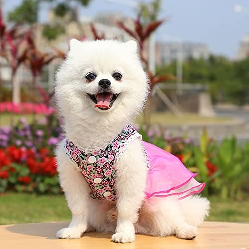 Camisas de Honprad para cães vestidos de menina pequena primavera e verão cothes primavera e verão fofos suprimentos de estimação vestidos rosa vestido de yorkie roupas de Yorkie