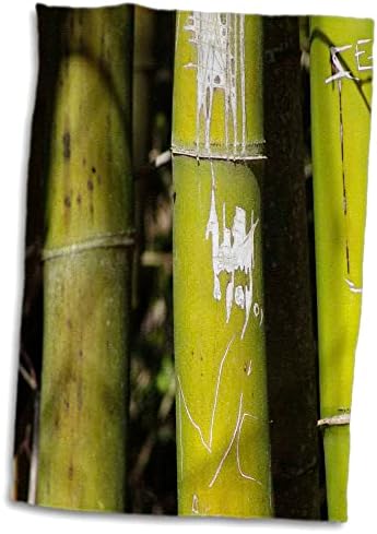 3drose florene natureza - arte de bambu - toalhas