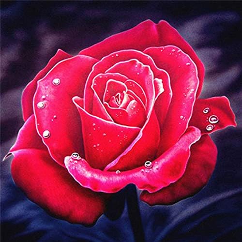 QGHZSCS Paint by Numbers Pintura digital Flowers Pintura feita à mão Rose Picture Decor Crafts Presente A7