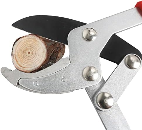 Gartol Anvil Lopper com ação composta Corte de ramo de árvores pesadas de 30 polegadas, aparador de árvore de capacidade de