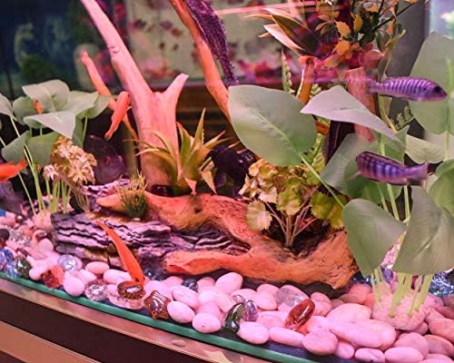 Plantas de tanques de peixes artificiais smarlin, plantas de aquário plástico, 2 pacote, 7 polegadas de altura, realistas e não
