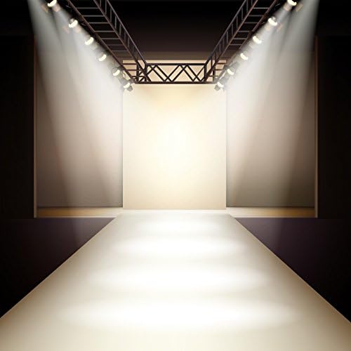 Baocicco Fashion Runway Spotlight Illumined Backdrop 10x10ft fotografia Lâmpada de fundo Scutando prata