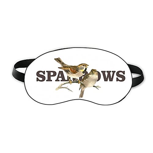 Sparrows Birds Animals Food Love Sleep Eye SHIEL