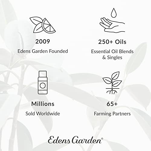 Edens Garden Isso cheira a incrível mistura de óleo essencial, melhor para difundir para tornar seu espaço cheirar incrível,