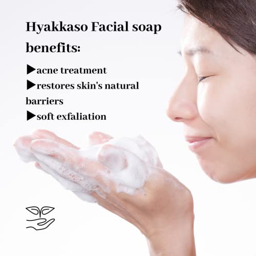 Hyakkaso Japan - Sabão facial de ervas e minerais, limpeza diária e cuidados com acne, para todos os tipos de pele, lavagem