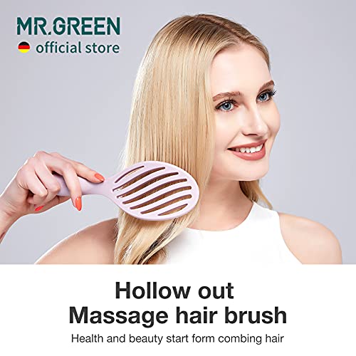 Mr. Green Hollow Out Burvento de cabelo Massagem Combs Hair Styling Detangler Ferramenta de retirada de secagem rápida para cabelo