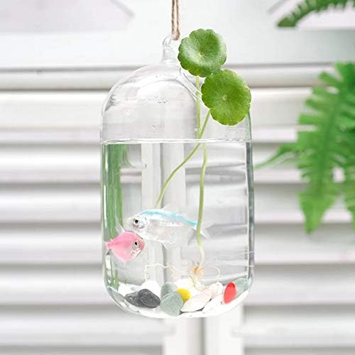 WPYYI Mini Desktop Transparent Glass Fish Tank Creative Home Office Decoração