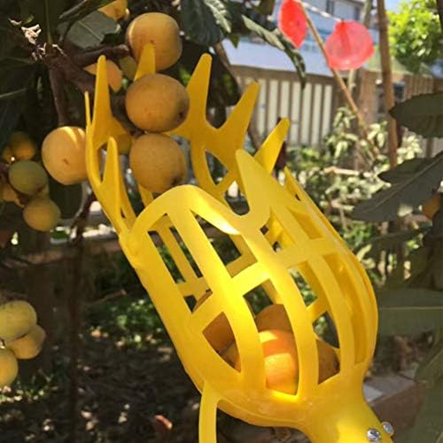 Equipamento de colheita de frutas com fruta para fruta de fruta com cabilock com cesto e vara de extensão fácil de montar frutas