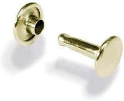 Tandy Leation Solid Brass Medium Cap Rivette 100 pacote 1381-11