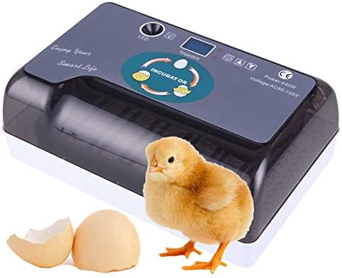 Homtoozhii de 12 ovos incubador automático, incubadora de tamanho pequeno com exibição digital Incubadores de bandeja ajustável