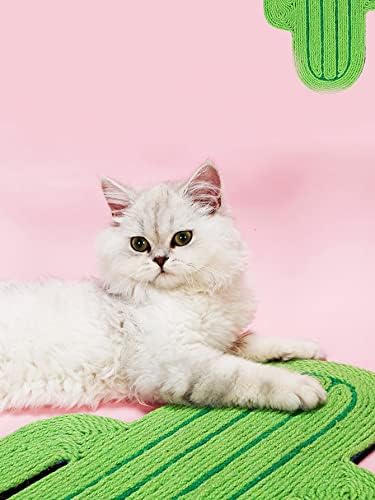 Qwinee gato scratcher para gatos internos cactus design gato arranhão tapete para proteger as unhas de gato protetor