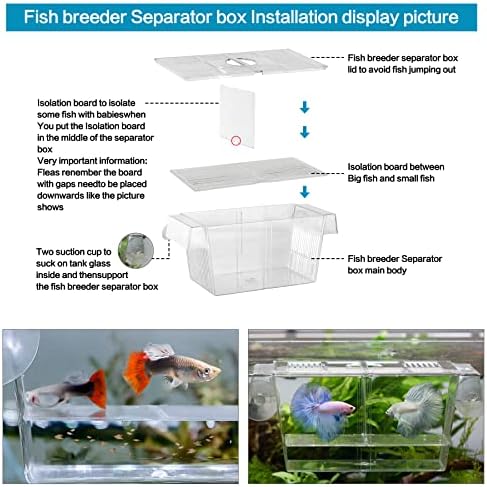 Peixe incubador de ovo coquetão de aquário de ciclídeos Incubação de peixe com bomba de ar aquário ， Isolation Fish Prodution Box, pequena rede de peixes e pequena pinça de aquário