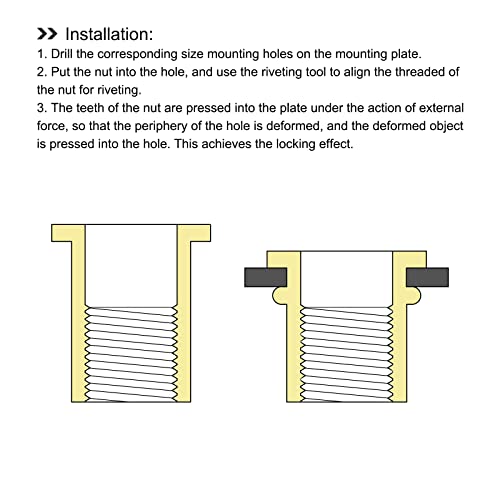 Porcas de rebite de metalixidade 100pcs, porcas de inserção rosqueadas de aço - para prendedores mecânicos de móveis, tom de ouro