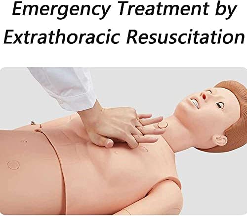 Wfzy Patient Care Manikin Multifuncional Simulador de Treinamento Habilidades de Enfermagem Treinando Manikin Momente de Enfermagem