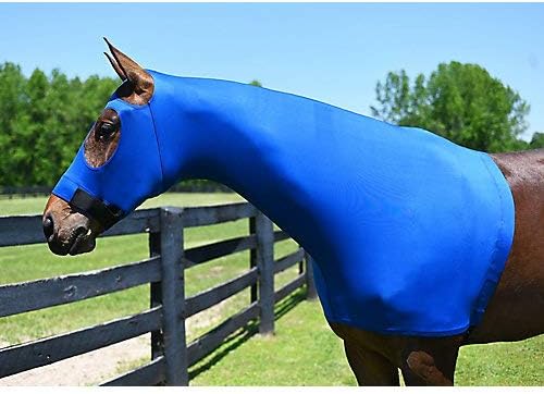 Gatsby Strethx Pull on Slicker Hood XL Royal