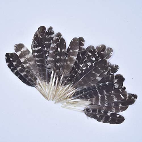 20pcs Feathers naturais para artesanato Favoridade Fenorquia Penas de peru penas de decoração de joalheria de joalheria Acessórios