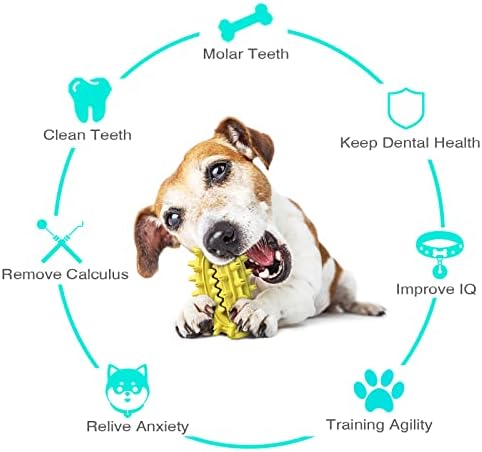 Funny Dog Chew Toys para mastigadores agressivos ideais para pequenos, médios e grandes cães de cachorro duráveis ​​limpando brinquedos ajudando a limpar os dentes e prevenir o cálculo dental