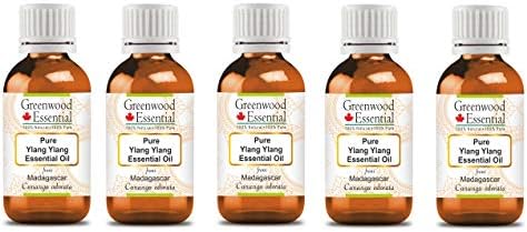 Greenwood Essential Pure Ylang Ylang Óleo Essential Natural Terapêutico Vapor Destilado 100ml x 5