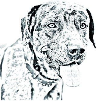 Catahoula Cur, lápide oval de azulejo de cerâmica com uma imagem de um cachorro