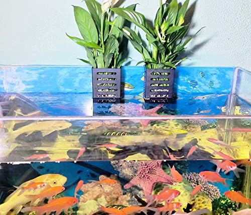2 PCs pendurados xícaras de plantador de aquário, suporte de plantas aquáticas, copo de plantador de aquário, decoração de