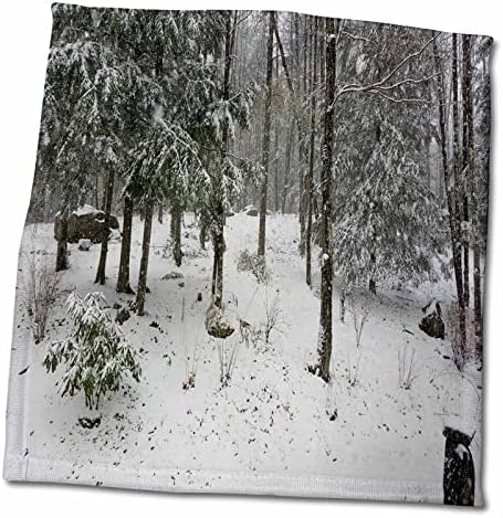 3drose cenário de inverno Evergreens árvores - toalhas