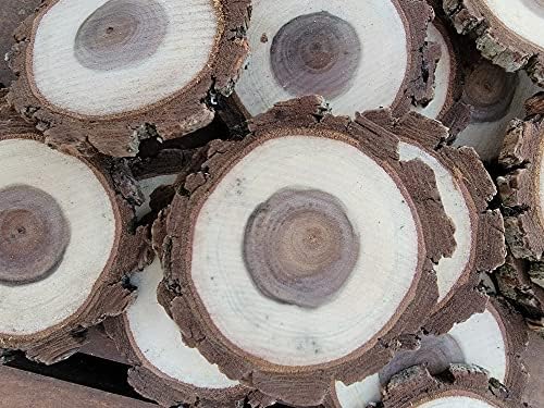 Fatias de madeira inacabadas com casca, 18 fatias naturais de árvores, montanhas -russas de 3 - 3,5, ornamentos, queima de madeira, artesanato