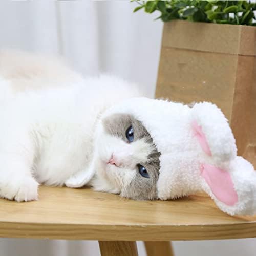 Chapéu de Páscoa de estimação Captante fofo Capéu de coelho de coelho para gatos Cães pequenos cães Acessório de festa de
