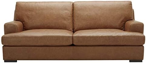 Brand-Stone & Beam Lauren Genuine Leather Couch Sofá de grandes dimensões Couch, 89 W, Cognac