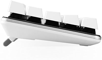 Qisan Gaming teclado teclado mecânico teclado cereja MX Blue switch gelo Backlight Backlight Teclado Mini Design 68-Keys Branco