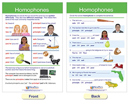 NEWPATH Aprendizagem Regras de ortografia Gráficos de quadros de avisos, conjunto/7-laminado, duplo-lados, colorido,