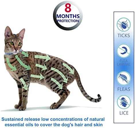 Colar de pulgas e carrapatos naturais e seguros para gatos, proteção de 2 * 8 meses, ferramenta de remoção de pente