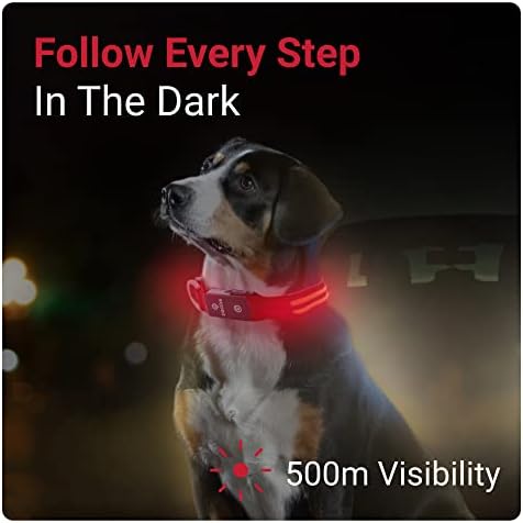Cola de cachorro LED de LED de tração - 3 modos de luz para caminhada noturna, impermeável, recarregável, até 10 horas de