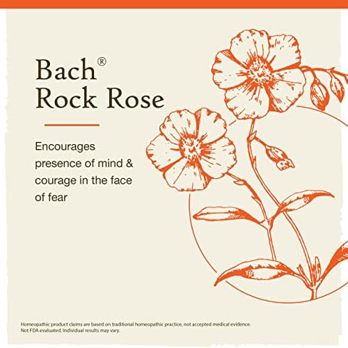 Bach Original Flower Remedy Groatper 20 ml de essência de flor, rosa rosa, 0,7 fl oz