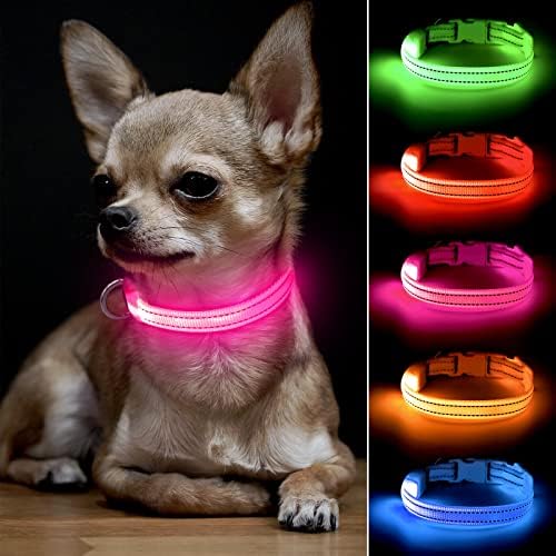 BSEEN LED DOG COLAR Luz - brilho recarregável USB no colarinho escuro, colares de cachorro iluminados para cães pequenos, luzes de segurança para caminhar noturno