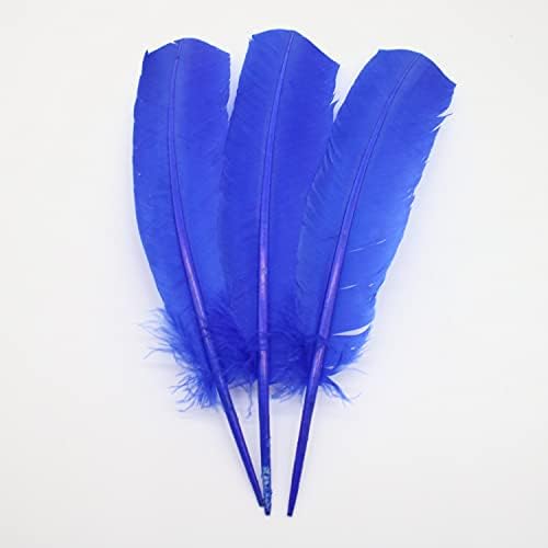 Pumcraft Feather for Craft 100pcs /lote 25-30cm /10-12 polegadas Fenas de ganso natural para artesanato decoração de carnaval