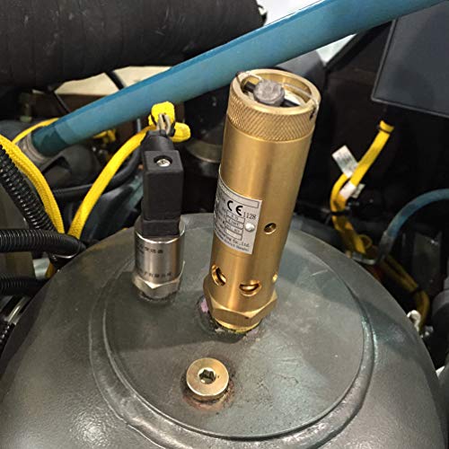 Válvula de segurança para a peça de substituição do compressor de ar parafuso