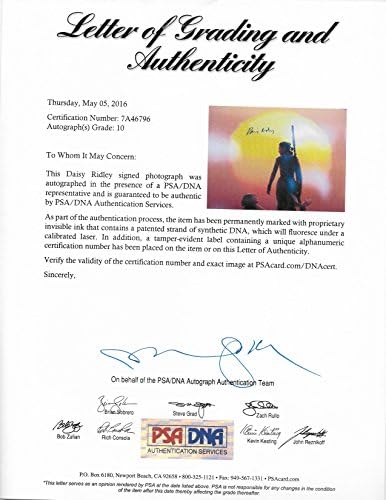 Star Wars Daisy Ridley assinou 16x20 Photo PSA/DNA GEM GEM MINT 10 Autograf